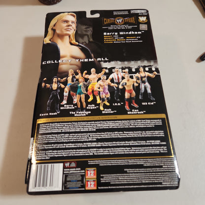 WWE Barry Windham Toy Action Figure 2001 Jakks Pacific Wrestling - House of Cars Virginia