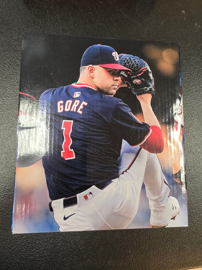 Mackenzie Gore Washington Nationals MLB 2025 Season Ticket Holder Talking...